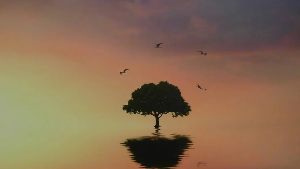 Tree of Life. Foto av Christian Lindsten.