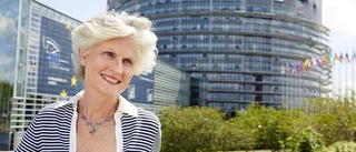 Toppolitiker diplomeras till ny ambassadör för surströmmingen
