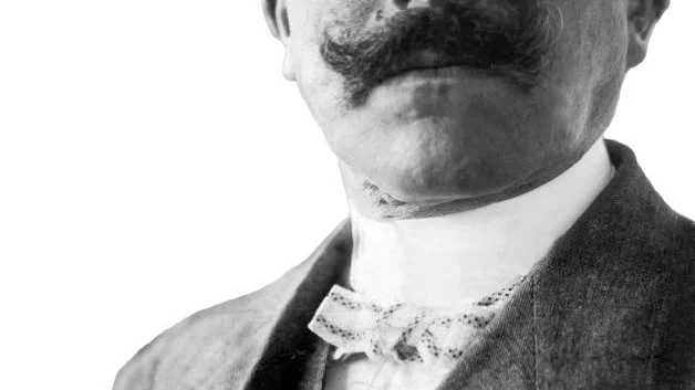 Diktaren Verner von Heidenstam erhöll Nobelpriset i litteratur 1916.