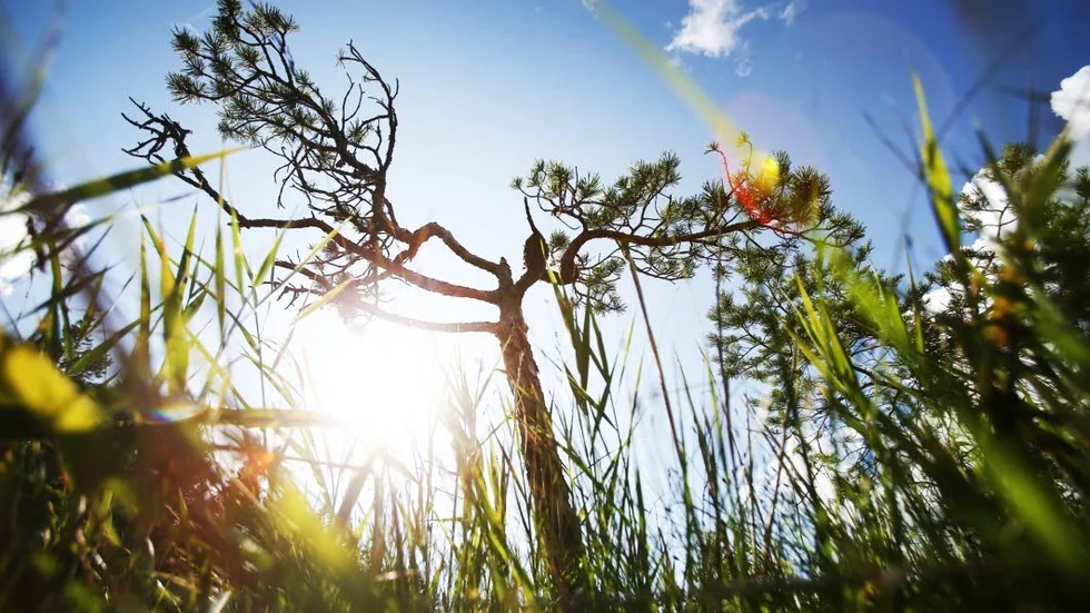 Här i Malmslätt uppmättes i veckan högsta temperaturen i september på nästan 50 år.