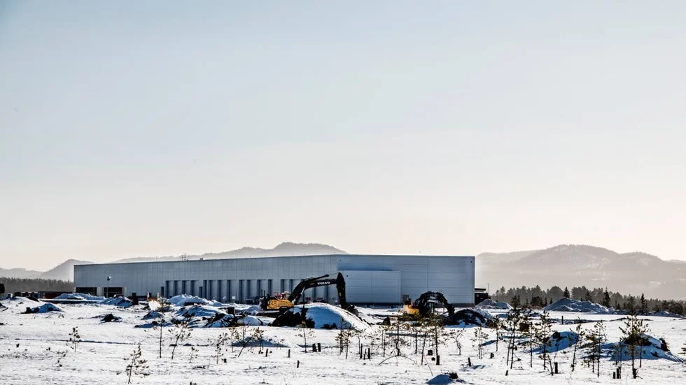 Hundratusentals besökare ska komma till fjällen med flyg.