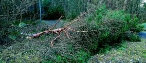 Många östgötar fortfarande utan el