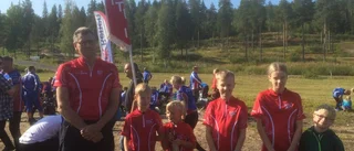 Full fart i skogarna