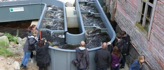 Fisktrappan äntligen invigd