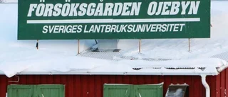 Klart med köpare av Försöksgården