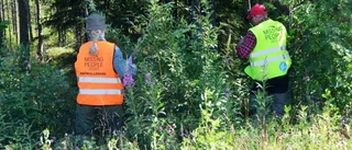 Nytt sök efter försvunne Ludvig
