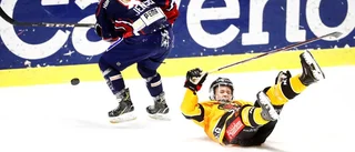 Hockeyfester i Luleå och Boden