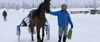 Blir det rally direkt i Skellefteå?