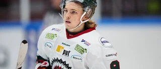 Forwarden på väg till Skellefteå