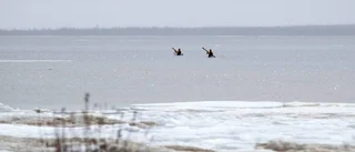 Stora naturvärden i norr