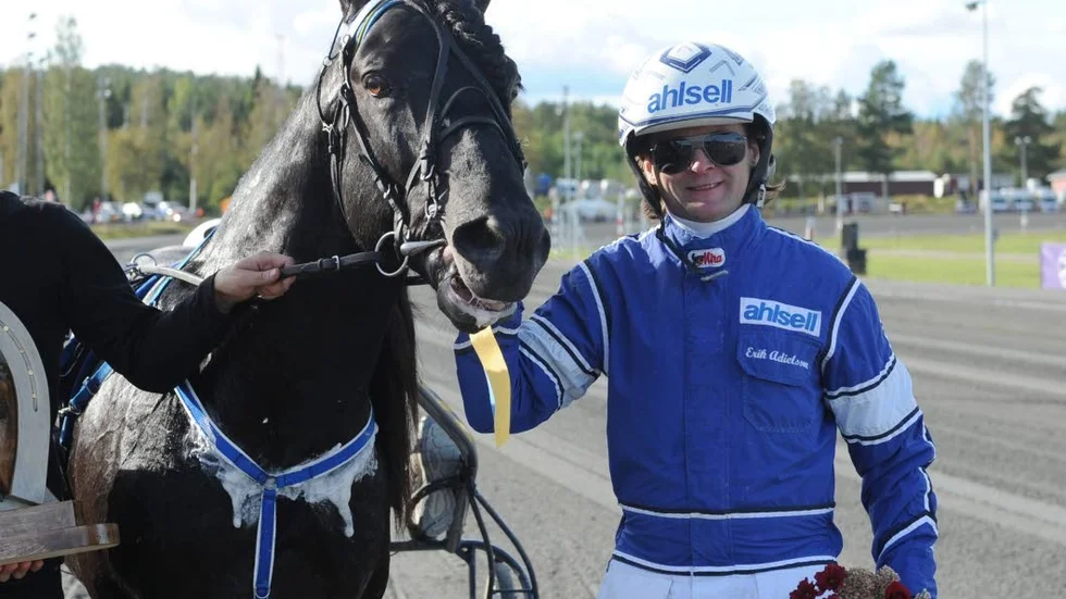Erik Adielsson kör alla elva sulkyloppen i Skellefteå under lördagen.