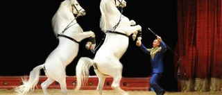 Cirkus Brazil håller klassen