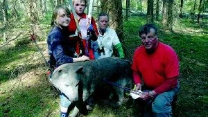 Aarne Hautamäki, IK Österviking, hade på 3D-touren en skarp duell med Finspångs BSK:s Christer Epparn om segern i HF 50. Aarne ledde men fick ge sig med två poäng. Här är han vid ett vargmål. Trion bakom målet är ungdomarna Felix Rahm, Motala BK och Fredrik Lindström, IK Österviking, och Anders Johansson, Finspångs BSK. Foto: Gunnar Johansson