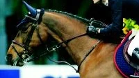 Malin Baryard-Johnsson och Butterfly Flip kom fyra vid GRand Prix-hoppningen i Rotterdam. En fjärdeplats som gav hela 100000 kronor i prispengar. Foto: Scanpix