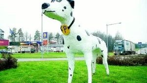 Finspång har troligtvis världens största rondellhund just nu. I Statoilrondellen tronar den jättelika dalmatinern, och säkra källor säger att det är några som kallar sig för Polustusgänget i Grytgöl som står bakom.Foto: Ann Björling