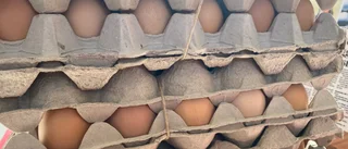 Får jag byta mina salmonellaägg?