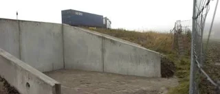 Rådjuren får en chans till