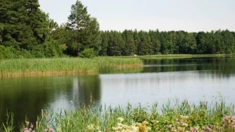 Sjön Tisnaren med omgivning hotar att gå förlorad om gruvdriften blir verklighet, memar föreningen Rädda Tisnaren.