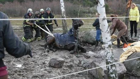 Till sist lyckades räddningstjänstens mannar få loss hästen ur leran.