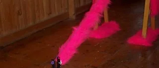 "Fluffy" poängmaskin - men det räckte inte