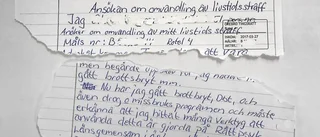 Mari-mördaren en riskfaktor