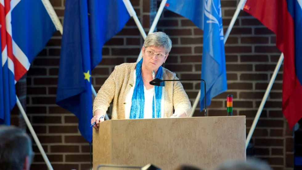 Spricka. Catrin Gisslin (MP) gick emot sina samarbetspartier och röstade mot avsiktsförklaringen.