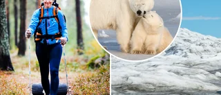 Lisa, 49, överlevde cancern – nu är hon uttagen till expedition på Grönland: "Avskurna från omvärlden och hänvisade till varandra"