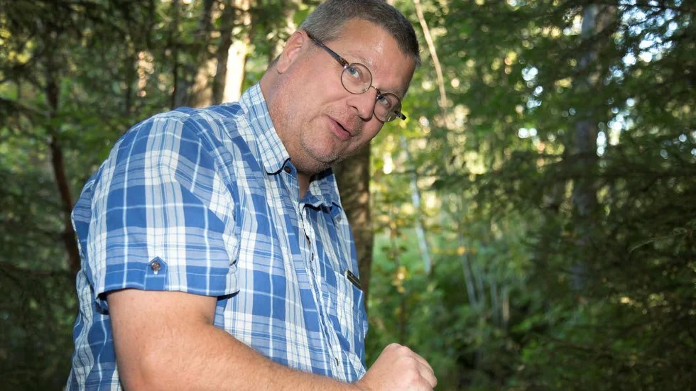 Mikael Ferm, enhetschef vid miljö-och hälsa, menar att om Ringiusviken åtgärdats fullt ut och underhållits, hade det nog inte funnits något måsproblem. (arkivbild)