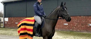 Wilma laddar för tävling i Belgien
