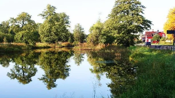 Råcksta å, som flyter genom bland annat Åkers styckebruk, har ett eget råd kopplat till sig – och detta råd vill ta reda på vilka olika arter som finns under ytan. Arkivbild.