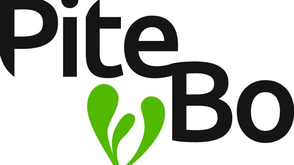 Den nya logotypen är framtagen av en grafisk formgivare. Den svarta ska ge bra läsbarhet.  företagsnamnet är uppdelat för att markera ”Bo” som i boende.