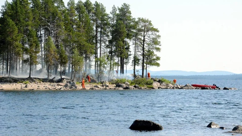 Ett område på cirka 50 gånger 20 meter brann på Skidnakholmen utanför Arjeplog.