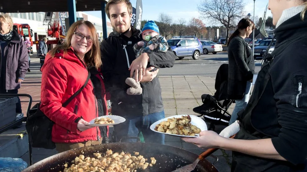 Piteå är en av de orter i länet som bidrar till befolkningstillväxten i länet. (Arkivbild)