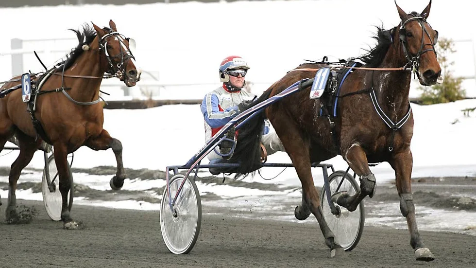Roger Nilssons Raz Mackenzie  sitta och finåka över upploppet i silverdivisionen på Bergsåker med Raz Mackenzie (arkivbild).