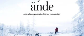 Bläddra bland naturbilder