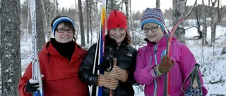 Top of Arjeplog med skidor