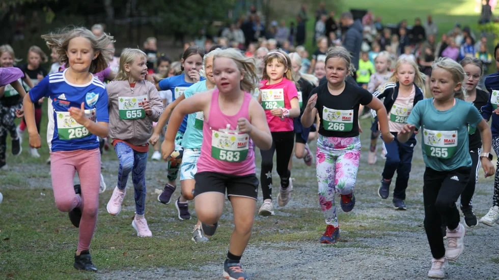 Startskotten har precis gått i flickor 8 i årets upplaga av VO-Joggen.
