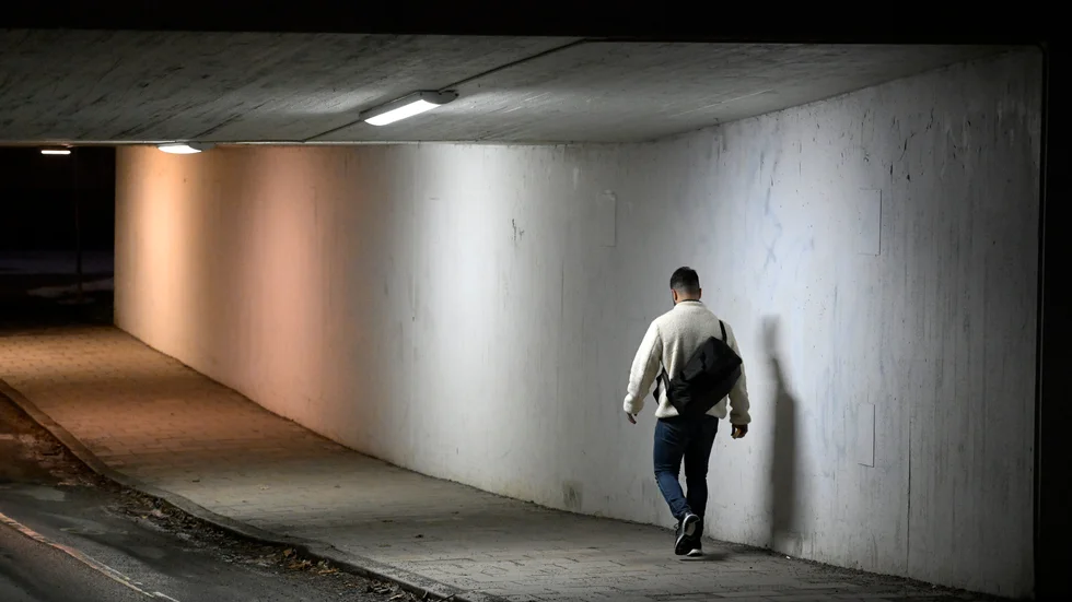 Företagen kommer med stor säkerhet att fortsätta öka sin användning av bakgrundskontroller och belastningsregister. 
Staten kan agera som motvikt och staka ut vad som är lämpligt och rimligt.