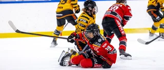 AIK pressade mästarna – i SDHL-genrepet: ”Aldrig kul att förlora”