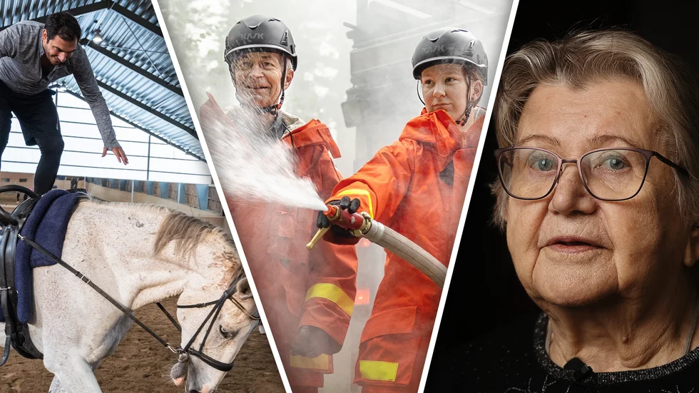 Bildåret som gått 2024.