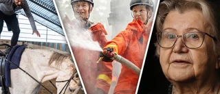 Här är bilderna vi minns från 2024