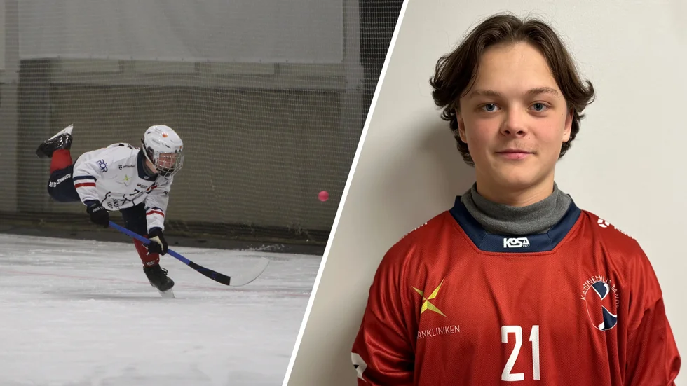 Arvid Skoog