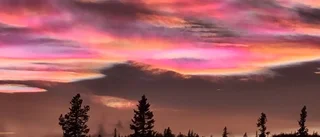 Pärlemormolnens skönhet fångad av läsarna