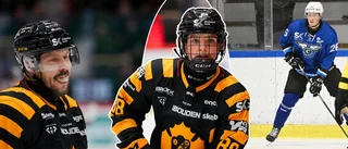 Hockeypanelens dom – AIK är inte favoriter i något slutspel 