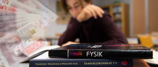 Vinstjakten har förstört svensk skola
