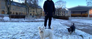 Alla hjärtans dag: Så ser Strängnäsbornas planer ut