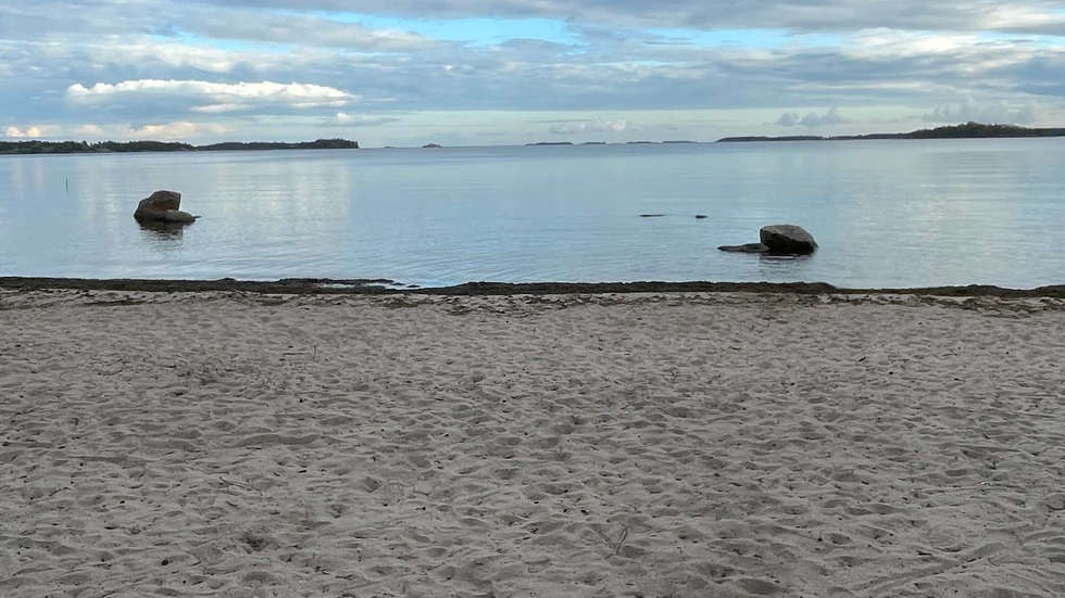 Östersjön behöver akut hjälp för att överleva.