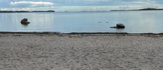 Flytta ut trålgränsen i hela Bottenhavet och Östersjön 