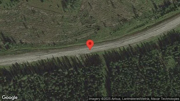 Problem i trafiken efter nedfallna träd på E45