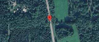 Stopp på väg 1136 på grund av en viltolycka